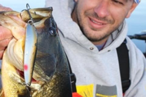 News & Tips: Spoon Feed Deep Largemouth