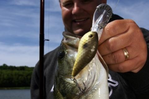 News & Tips: Deep-to-Shallow Crankbaits