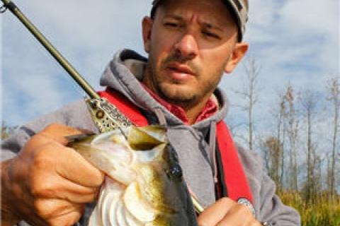 News & Tips: LIVETARGET Frog a Gear Review