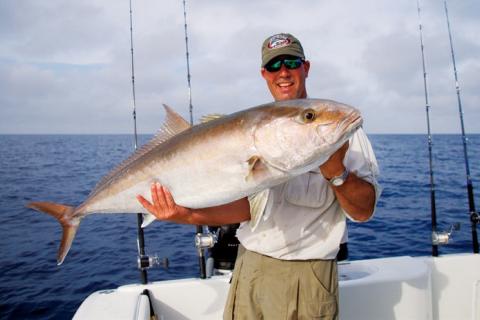 News & Tips: Can You Tell a Tuna From a Bluefish? Test Your Fish Knowledge With This Quiz...