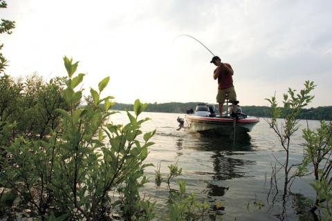 News & Tips: The No-Fail Ned Rig: A-Do-Almost-Everything Bass Finesse Fishing Technique (video)...