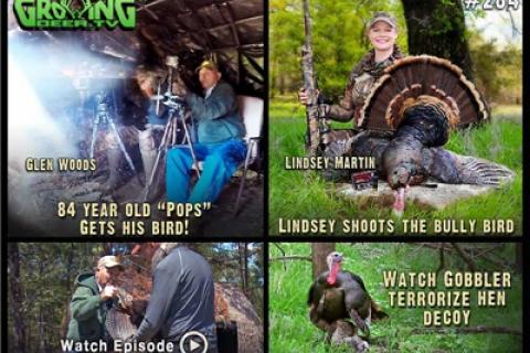News & Tips: Turkey Hunting Old Toms and Super Jakes (video)...