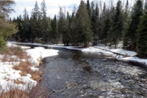 News & Tips: When a Fish Lie Isn't a Story