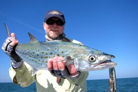 News & Tips: Travel Blog: Sarasota, Florida, Fishing Guide...