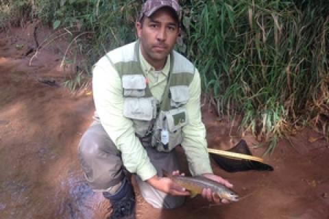 News & Tips: Fishing the Green