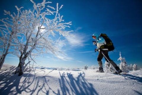 News & Tips: What to Do if You Get Lost on a Winter Hike...
