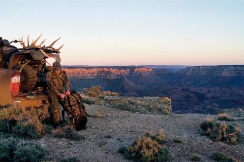 News & Tips: Elk Calling: What You Need to Know Before You're in Elk Country (infographic)...