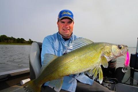 Author Jason Mitchell with a walleye caught trolling a Salmo Bullhead SDR. Fall trolling patterns can produce some of the largest walleye of the season. by Author Jason Mitchell with a walleye caught...