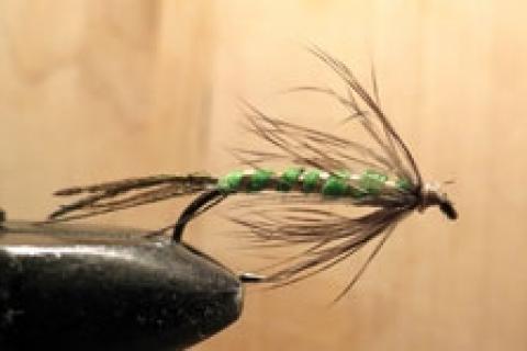 News & Tips: A New Year Resolution: Learning More Nymph Fishing Techniques...