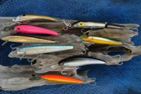 News & Tips: Catching Kingfish on Artificial Baits