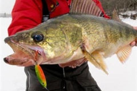 walleye ice fishing combos