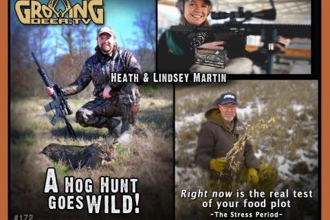 News & Tips: Food Plots & Successful Predator Hunt