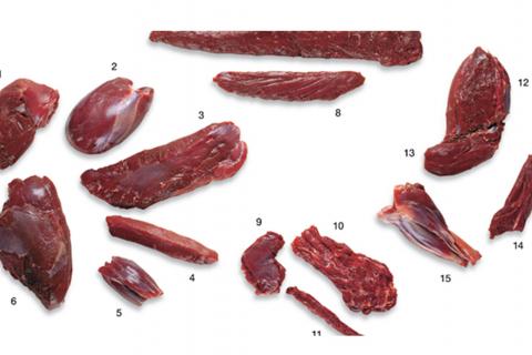 Choice Cuts Of Venison Meat | Bass Pro Shops