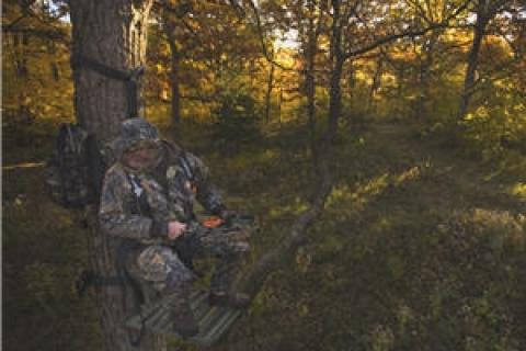 News & Tips: Ways to Keep the Wind From Blowing Your Chances on a Buck...