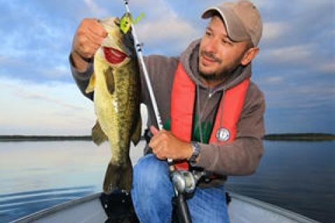 News & Tips: Lunkerhunt Lunker Frog - Such a Realistic Fishing Lure It Makes Bass Go Berserk...