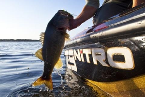 News & Tips: Early Season Fishing Tips for Five Species...