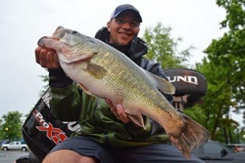Jeff Gustafson Holds a Giant Bass by Jeff Gustafson Holds a Giant Bass...