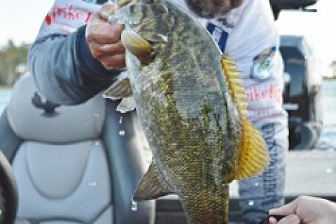 2014 Toyota Bassmaster Anglerr of the Year, Greg Hackney by 2014 Toyota Bassmaster Anglerr of the Year, Greg Hackney ...