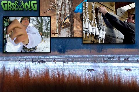 News & Tips: How To Eliminate Trees in a New Food Plot...