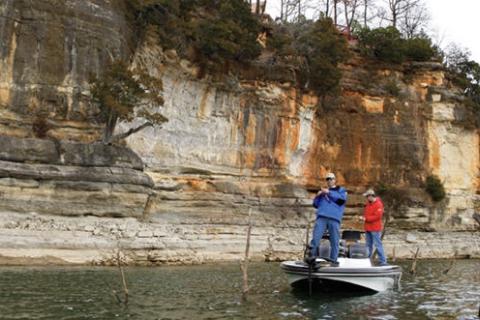 News & Tips: Hunt Bass in the Timber