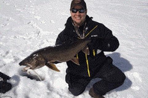 Iced trout by Iced trout