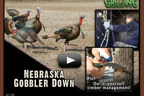 News & Tips: Taking a Nice Gobbler - Bow Hunting