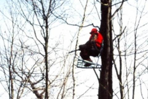 News & Tips: 10 Treestand Safety Tips