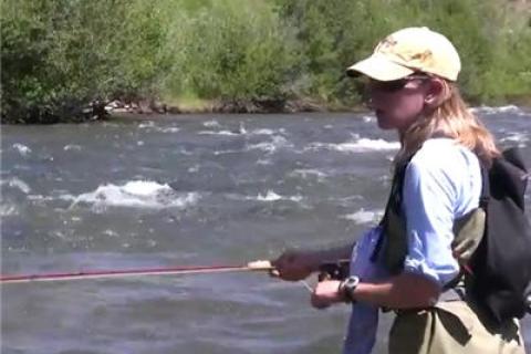 News & Tips: Fishing Yellowstone Cutthroat Trout in Southeast Idaho...