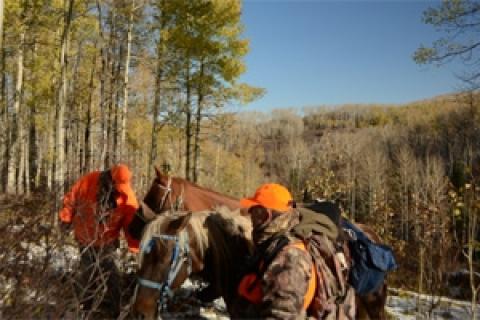 News & Tips: Preparing Horses for an Elk Hunt