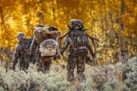 News & Tips: Counting Your Outdoor Blessings