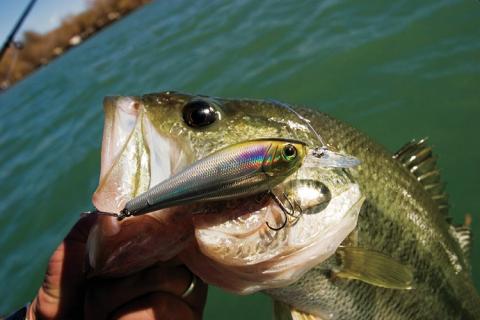best bass lure for fishing planet