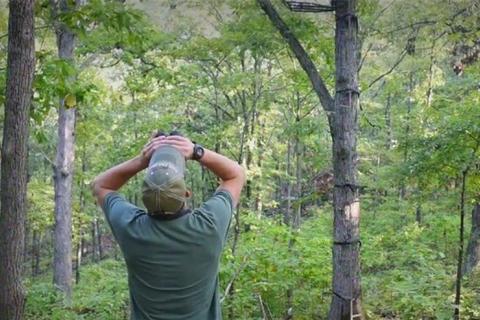 News & Tips: Deer Hunting: Surefire Scouting and Strategies for Whitetails (video)...