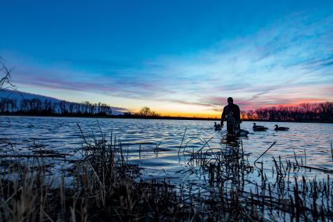 bass pro shop fishing waders