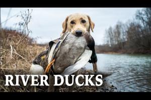 Duck Hunting Rivers