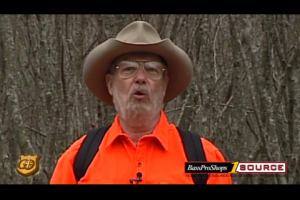 1Source Video: Signaling When In The Wild – Survival Series