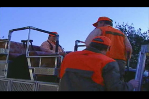 1Source Video: Texas Bobwhite Quail Hunting