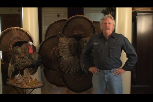 1Source Video: How to Make a Large Turkey Wall Hanging