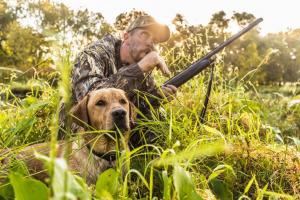 News & Tips: 3 Ways to Develop Safety and Trust with Your Hunting Dog...