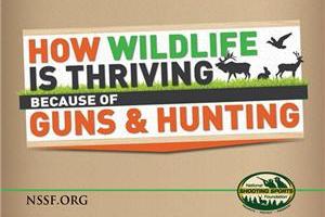 News & Tips: How Wildlife is Thriving Because of Guns & Hunting (infographic)...