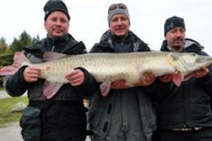 News & Tips: A Modern Day World Record Muskie