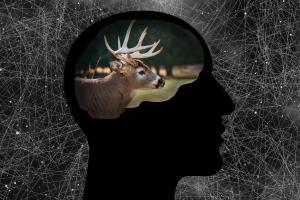 News & Tips: Head Hunting: Use Visualization to Become a Better Bowhunter...