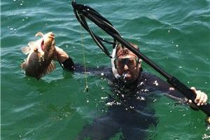 News & Tips: Spearfishing: Take Your Hunt Underwater...