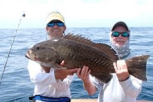 News & Tips: Grouper Ties S.C. State Record