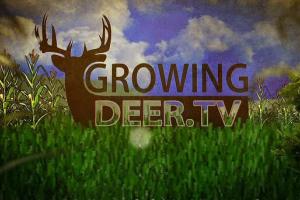 News & Tips: Bow Hunting The Rut: Tagging a BIG Indiana Buck...