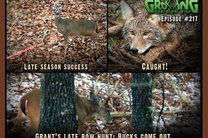 News & Tips: Bow Hunting: Shooting Deer, That's Why We're Here!...