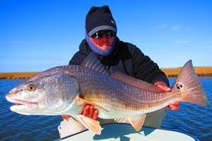 News & Tips: Flats Fishing for Redfish