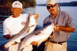 News & Tips: Hot Weather Stripers on Beaver Lake