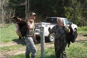 News & Tips: Advantages of Hunting Public Land Turkeys...