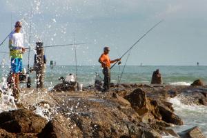 News & Tips: Jetty Fishing Tricks, Prime Species to Fish & Best Bait to Use...