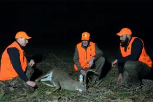 Three deer hunters in blaze orange inspecting a buck one had shot